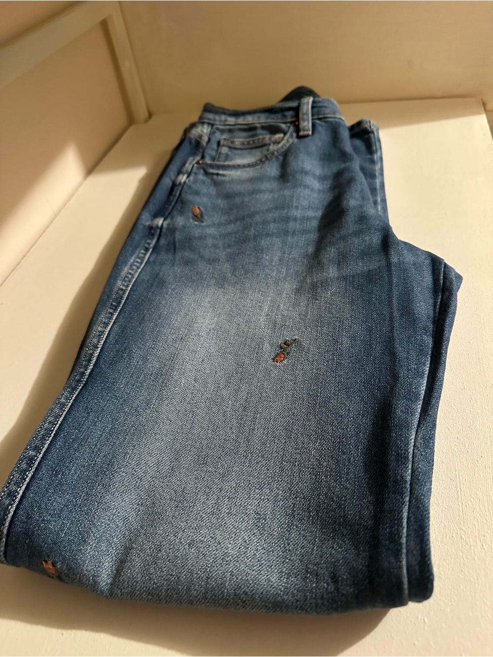 Women Blue Denim Jeans